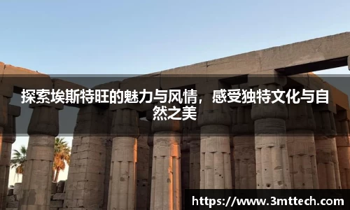 彩神Vl